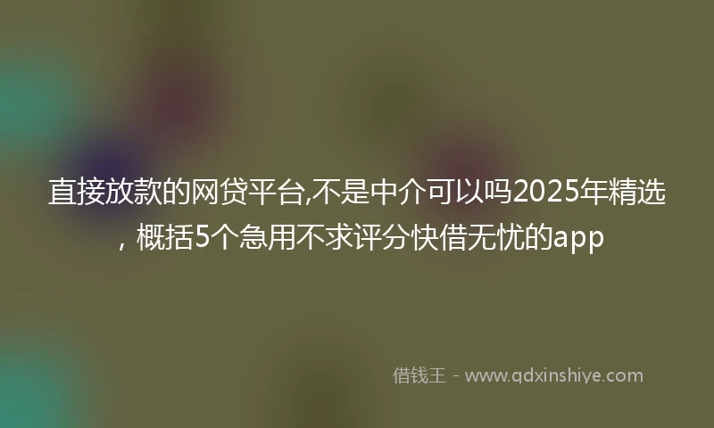 直接放款的网贷平台,不是中介可以吗2025年精选，概括5个急用不求评分快借无忧的app