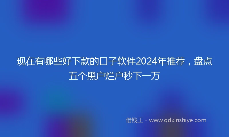现在有哪些好下款的口子软件2024年推荐，盘点五个黑户烂户秒下一万