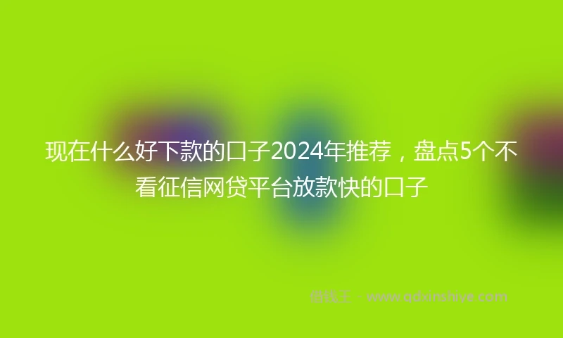 现在什么好下款的口子2024年推荐，盘点5个不看征信网贷平台放款快的口子