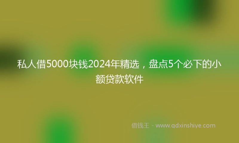 私人借5000块钱2024年精选，盘点5个必下的小额贷款软件