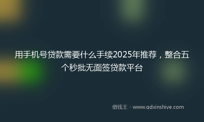 用手机号贷款需要什么手续2025年推荐，整合五个秒批无面签贷款平台