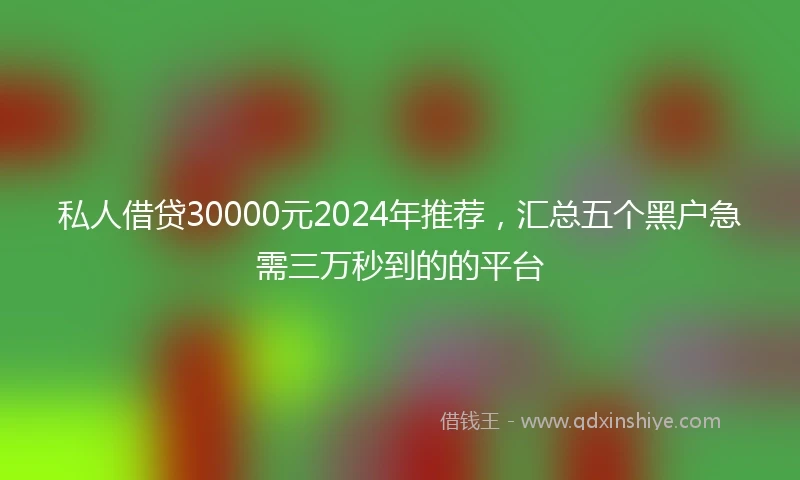 私人借贷30000元2024年推荐，汇总五个黑户急需三万秒到的的平台
