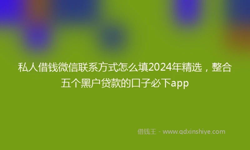 私人借钱微信联系方式怎么填2024年精选，整合五个黑户贷款的口子必下app