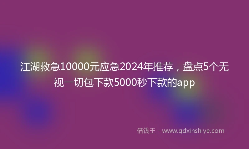 江湖救急10000元应急2024年推荐，盘点5个无视一切包下款5000秒下款的app