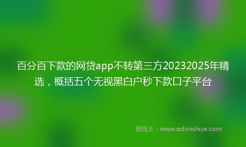 百分百下款的网贷app不转第三方20232025年精选，概括五个无视黑白户秒下款口子平台