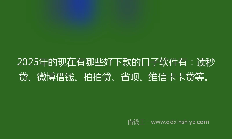 2025年的现在有哪些好下款的口子软件有：读秒贷、微博借钱、拍拍贷、省呗、维信卡卡贷等。