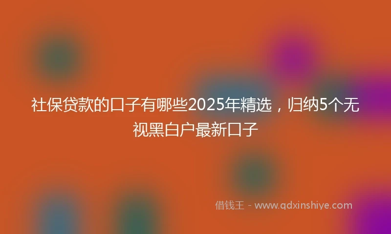 社保贷款的口子有哪些2025年精选，归纳5个无视黑白户最新口子