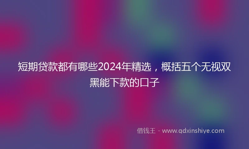 短期贷款都有哪些2024年精选，概括五个无视双黑能下款的口子