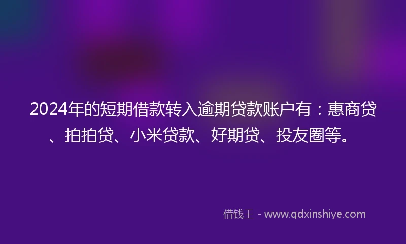 2024年的短期借款转入逾期贷款账户有:惠商贷、拍拍贷、小米贷款、好期贷、投友圈等。