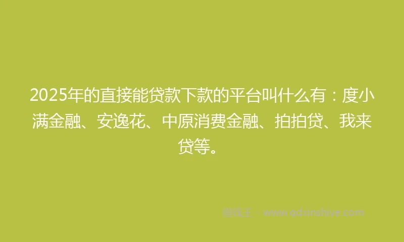 2025年的直接能贷款下款的平台叫什么有：度小满金融、安逸花、中原消费金融、拍拍贷、我来贷等。