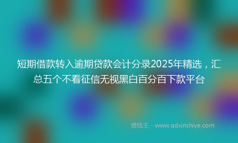 短期借款转入逾期贷款会计分录2025年精选,汇总五个不看征信无视黑白百分百下款平台