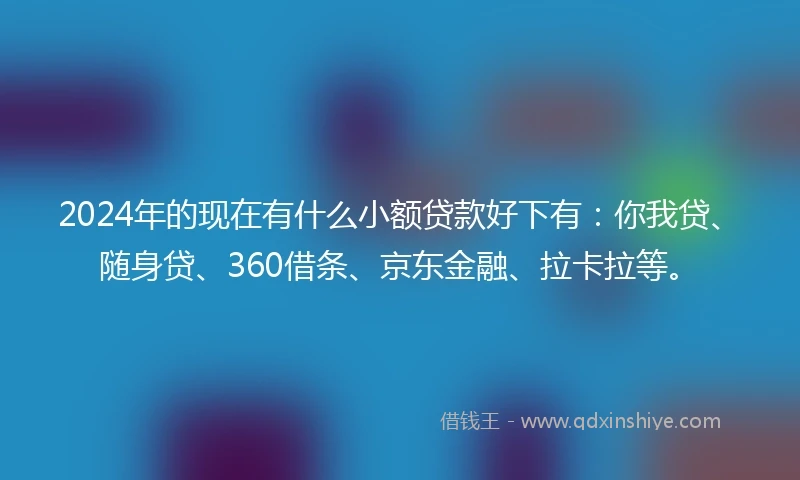 2024年的现在有什么小额贷款好下有：你我贷、随身贷、360借条、京东金融、拉卡拉等。