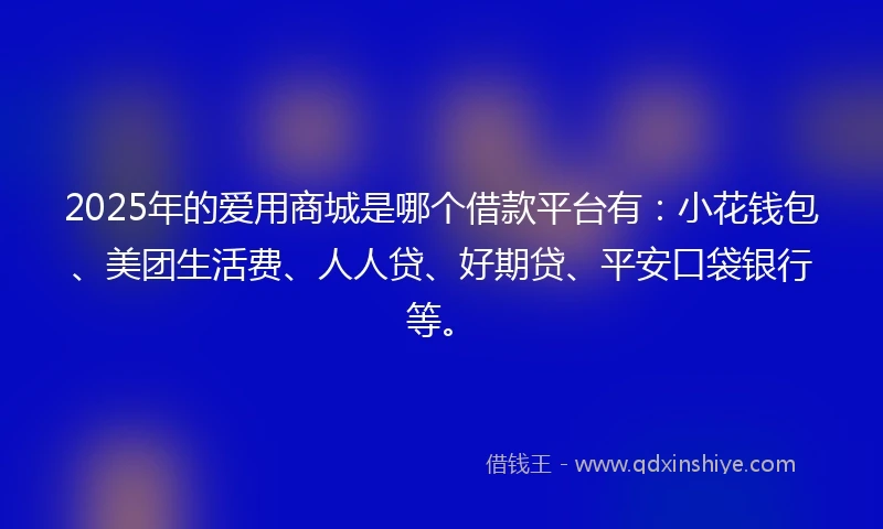 2025年的爱用商城是哪个借款平台有：小花钱包、美团生活费、人人贷、好期贷、平安口袋银行等。