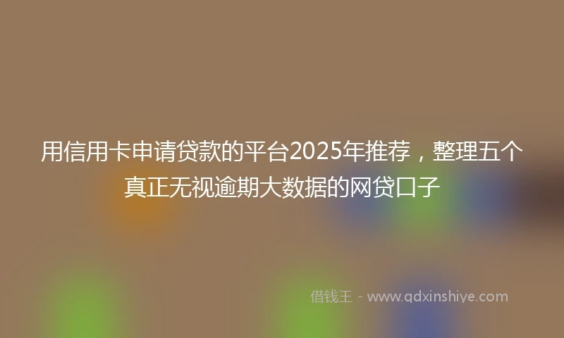 用信用卡申请贷款的平台2025年推荐，整理五个真正无视逾期大数据的网贷口子