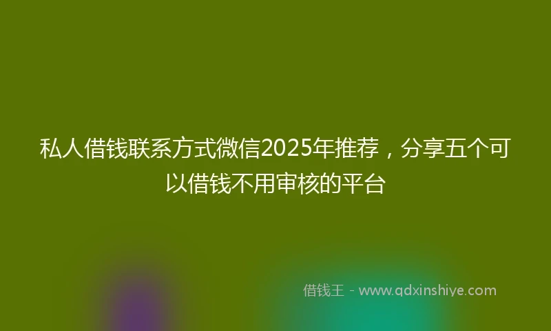 私人借钱联系方式微信2025年推荐，分享五个可以借钱不用审核的平台