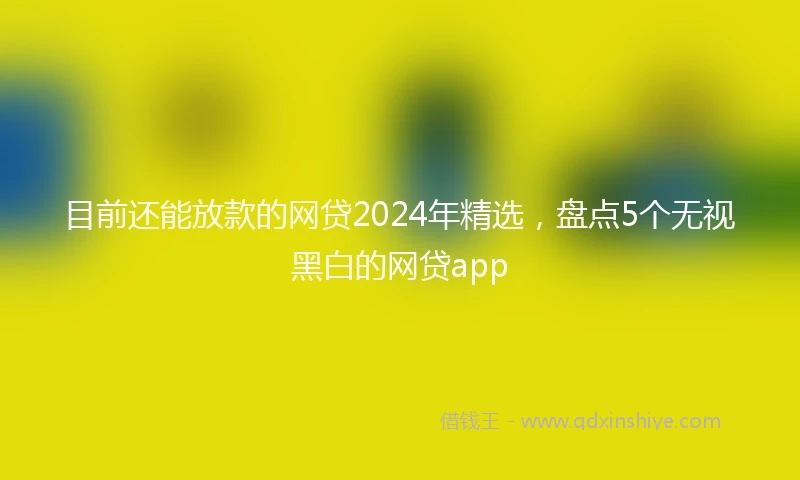 目前还能放款的网贷2024年精选，盘点5个无视黑白的网贷app