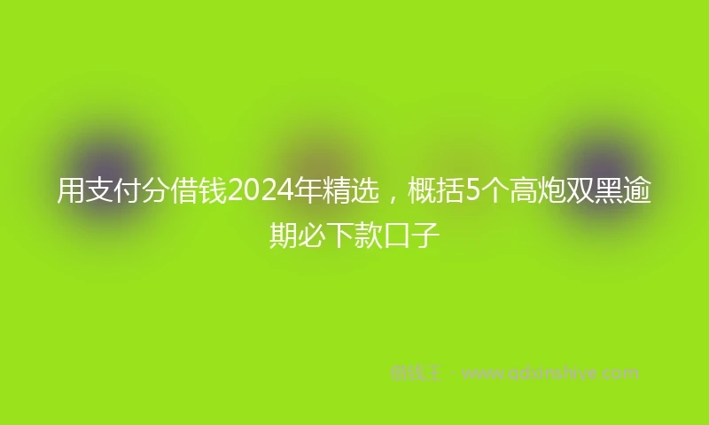 用支付分借钱2024年精选，概括5个高炮双黑逾期必下款口子