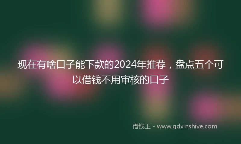 现在有啥口子能下款的2024年推荐，盘点五个可以借钱不用审核的口子