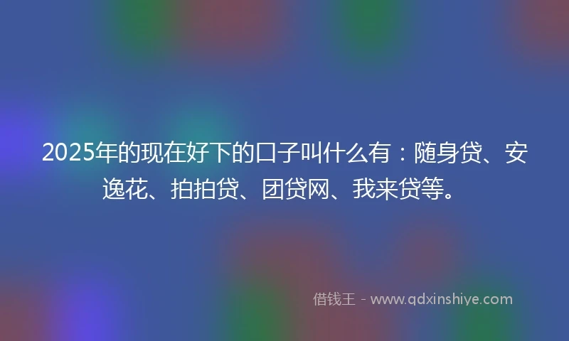 2025年的现在好下的口子叫什么有：随身贷、安逸花、拍拍贷、团贷网、我来贷等。