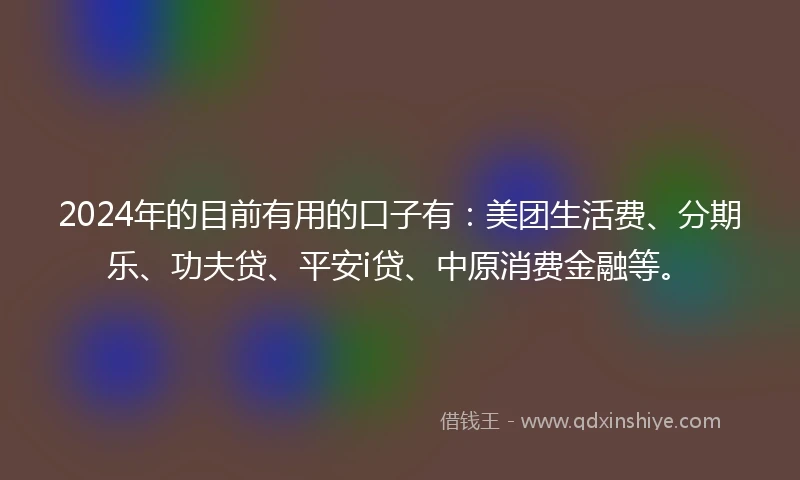 2024年的目前有用的口子有：美团生活费、分期乐、功夫贷、平安i贷、中原消费金融等。
