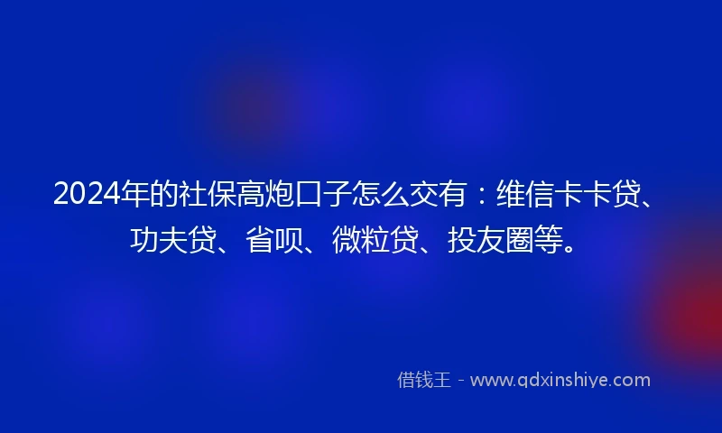 2024年的社保高炮口子怎么交有：维信卡卡贷、功夫贷、省呗、微粒贷、投友圈等。