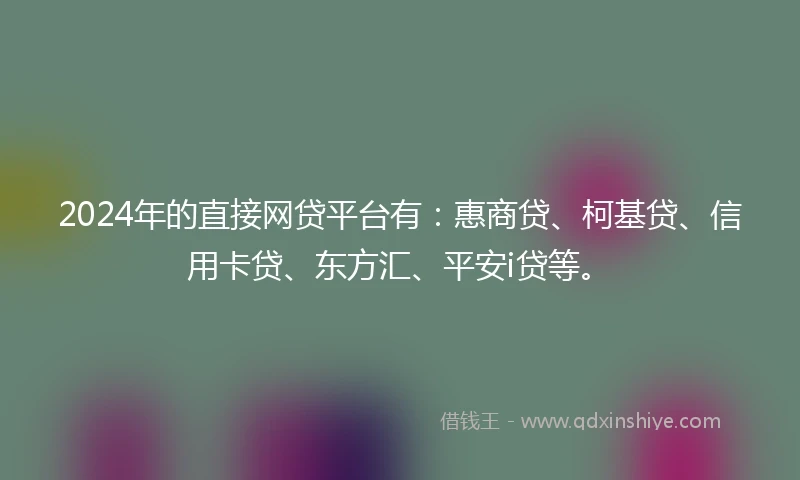 2024年的直接网贷平台有：惠商贷、柯基贷、信用卡贷、东方汇、平安i贷等。