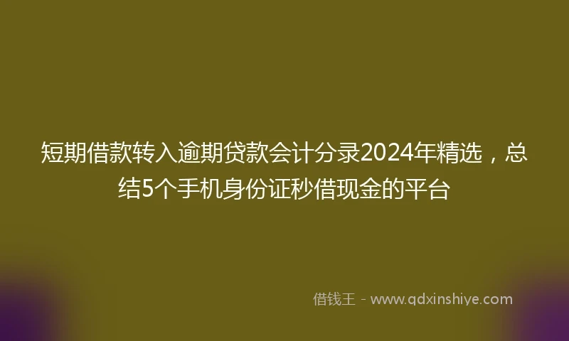 短期借款转入逾期贷款会计分录2024年精选，总结5个手机身份证秒借现金的平台