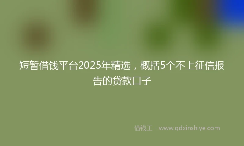 短暂借钱平台2025年精选，概括5个不上征信报告的贷款口子