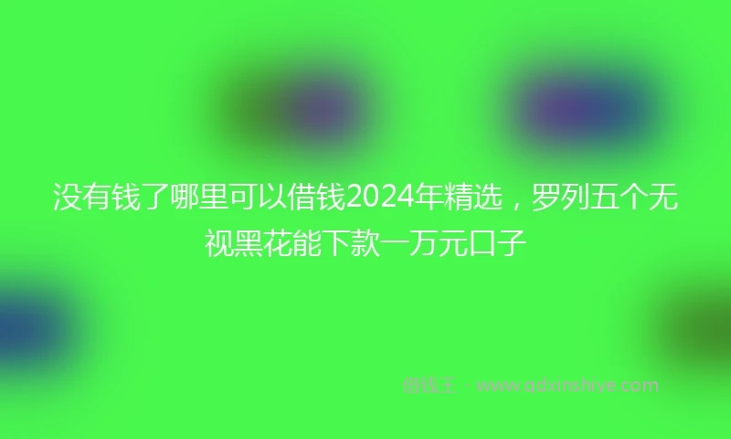 没有钱了哪里可以借钱2024年精选，罗列五个无视黑花能下款一万元口子