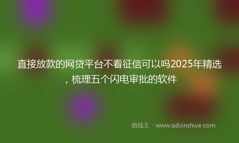 直接放款的网贷平台不看征信可以吗2025年精选，梳理五个闪电审批的软件