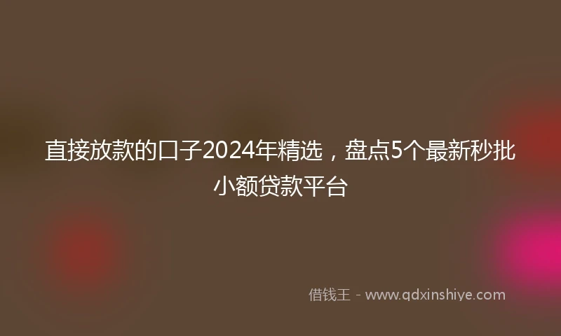 直接放款的口子2024年精选，盘点5个最新秒批小额贷款平台