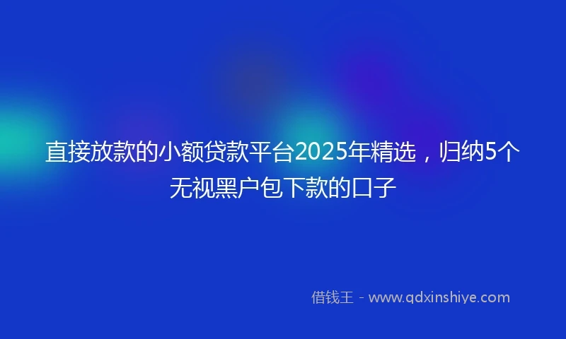 直接放款的小额贷款平台2025年精选，归纳5个无视黑户包下款的口子