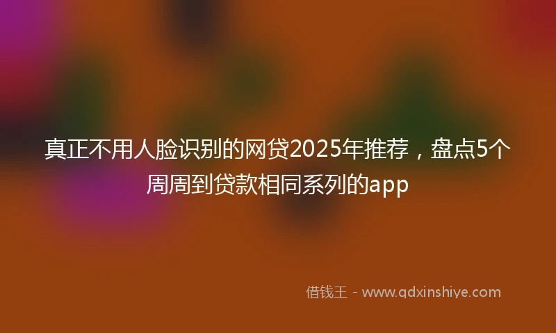 真正不用人脸识别的网贷2025年推荐，盘点5个周周到贷款相同系列的app