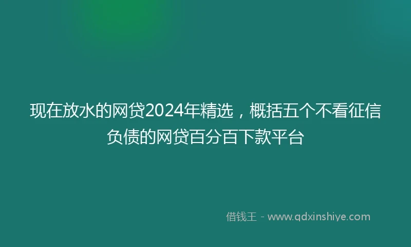 现在放水的网贷2024年精选，概括五个不看征信负债的网贷百分百下款平台