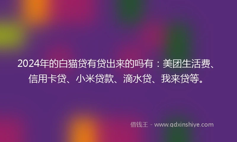 2024年的白猫贷有贷出来的吗有：美团生活费、信用卡贷、小米贷款、滴水贷、我来贷等。