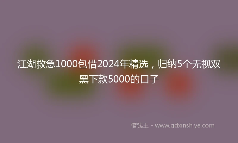 江湖救急1000包借2024年精选，归纳5个无视双黑下款5000的口子