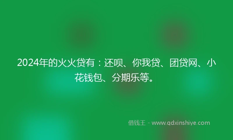 2024年的火火贷有：还呗、你我贷、团贷网、小花钱包、分期乐等。