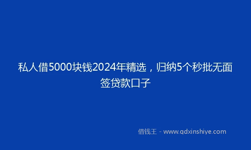 私人借5000块钱2024年精选，归纳5个秒批无面签贷款口子