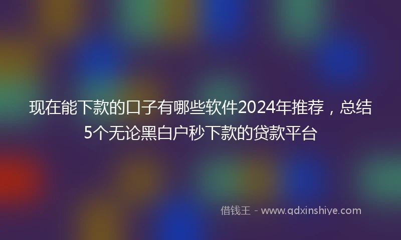 现在能下款的口子有哪些软件2024年推荐，总结5个无论黑白户秒下款的贷款平台