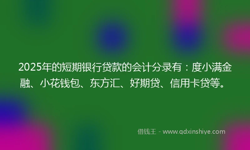 2025年的短期银行贷款的会计分录有：度小满金融、小花钱包、东方汇、好期贷、信用卡贷等。