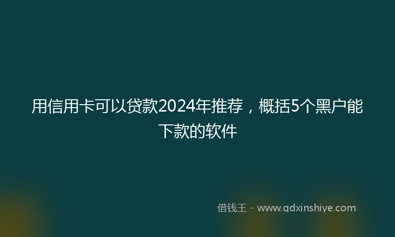用信用卡可以贷款2024年推荐，概括5个黑户能下款的软件