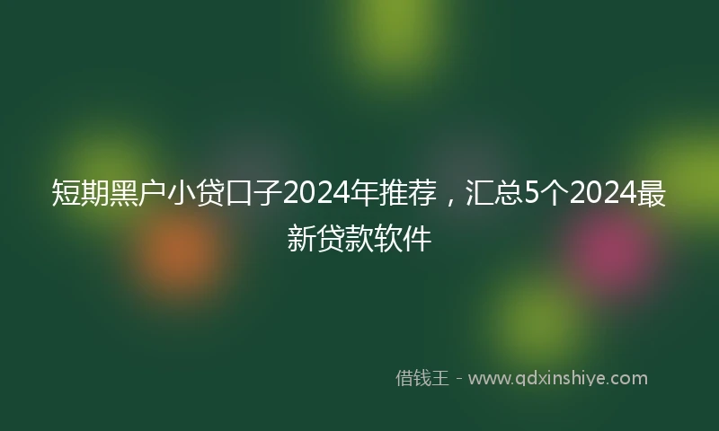 短期黑户小贷口子2024年推荐，汇总5个2024最新贷款软件