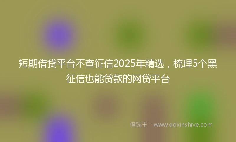 短期借贷平台不查征信2025年精选，梳理5个黑征信也能贷款的网贷平台