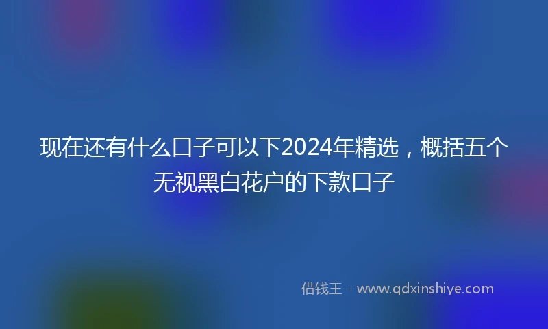 现在还有什么口子可以下2024年精选，概括五个无视黑白花户的下款口子
