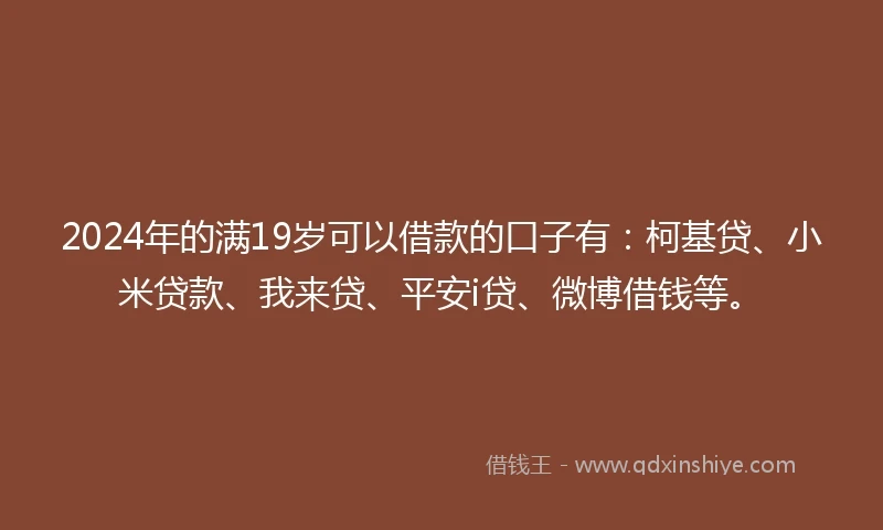 2024年的满19岁可以借款的口子有：柯基贷、小米贷款、我来贷、平安i贷、微博借钱等。