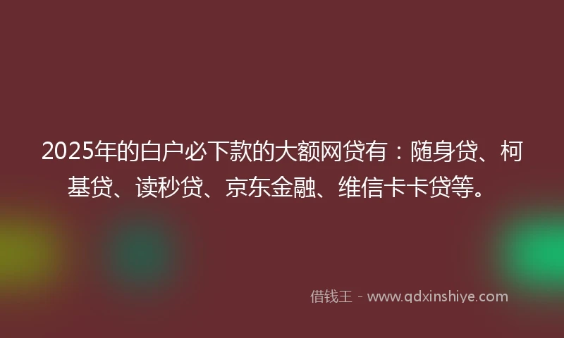 2025年的白户必下款的大额网贷有：随身贷、柯基贷、读秒贷、京东金融、维信卡卡贷等。