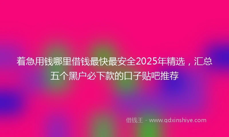 着急用钱哪里借钱最快最安全2025年精选，汇总五个黑户必下款的口子贴吧推荐