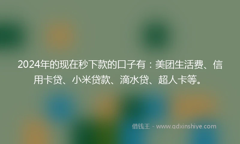 2024年的现在秒下款的口子有：美团生活费、信用卡贷、小米贷款、滴水贷、超人卡等。