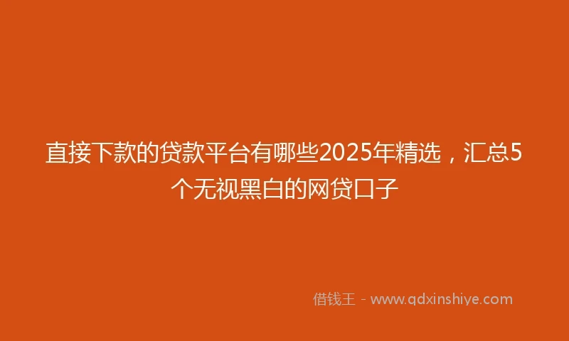 直接下款的贷款平台有哪些2025年精选，汇总5个无视黑白的网贷口子