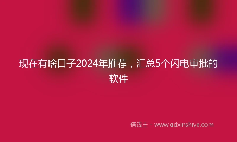 现在有啥口子2024年推荐，汇总5个闪电审批的软件